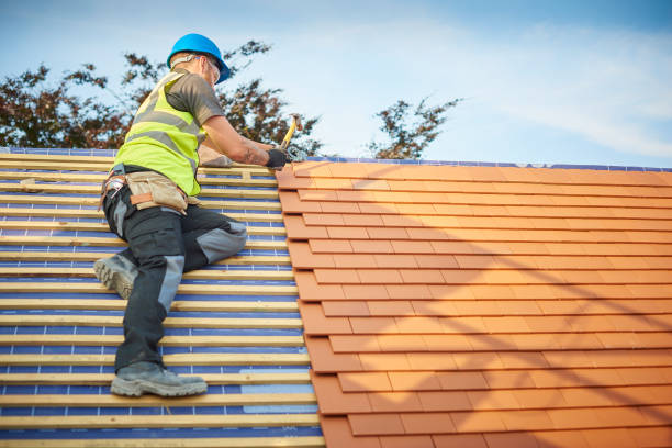 Best Asphalt Shingle Roofing  in Catasauqua, PA